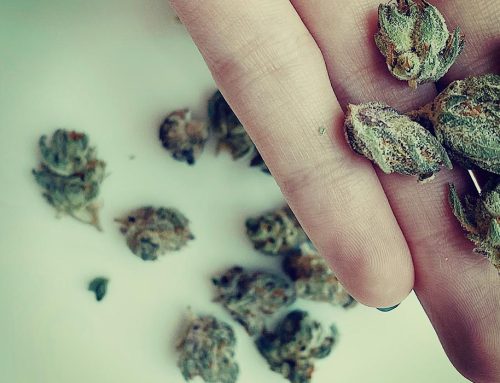 Idaho GOP Lawmaker Introduces Medical Marijuana Legalization Bill