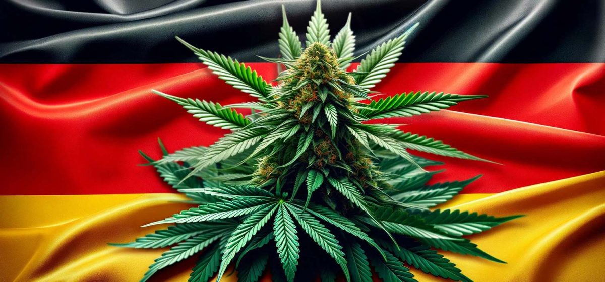 Germany Legalizes Cannabis for Personal Use Marijuana and the Law