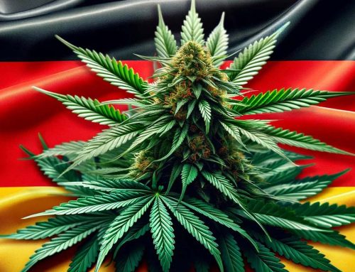 Germany Legalizes Cannabis for Personal Use