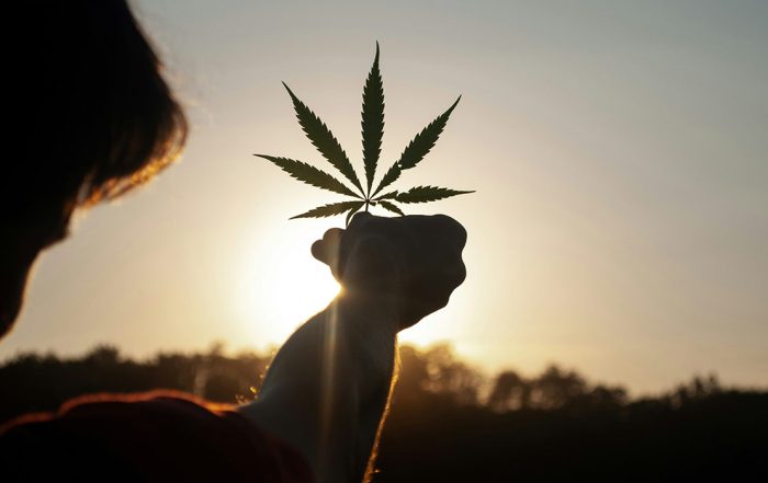 New Hampshire Lawmakers Advanced Marijuana Legalization Legislation