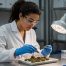 Researcher Testing Cannabis