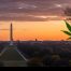 Washington DC with Weed Leaf